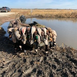 Meet your Posher, Kyle